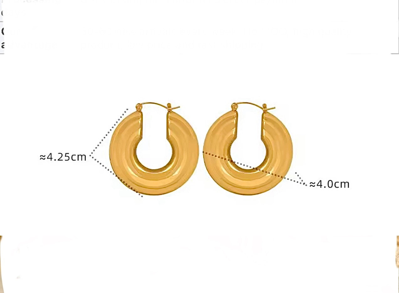 Large Disc Hoops